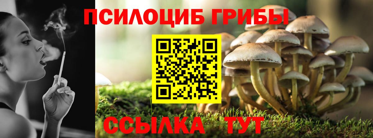 Псилоцибиновые грибы Cubensis  Вход с VPN  Советская Гавань 